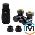 Комплект Schlosser эксклюзивных узлов прямой GZ 3/4 x M 22х1,5 2 шт ниппеля термоголовка MINI RAL9005 черный мат, фото 