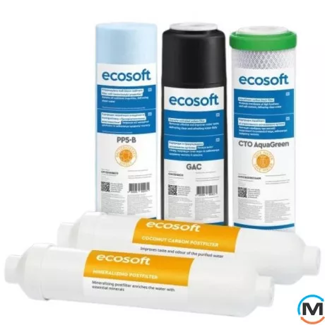 Комплект картриджей Ecosoft Absolute 6 месяцев, фото 