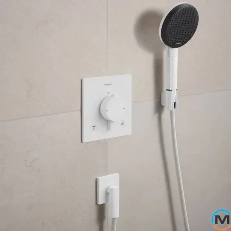 Душевой набор Hansgrohe Raindance Alive Select S 3jet EcoSmart Porter 160 см Matt White, фото , изображение 2