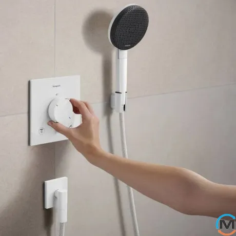 Душевой набор Hansgrohe Raindance Alive Select S 3jet EcoSmart Porter 160 см Matt White, фото , изображение 3