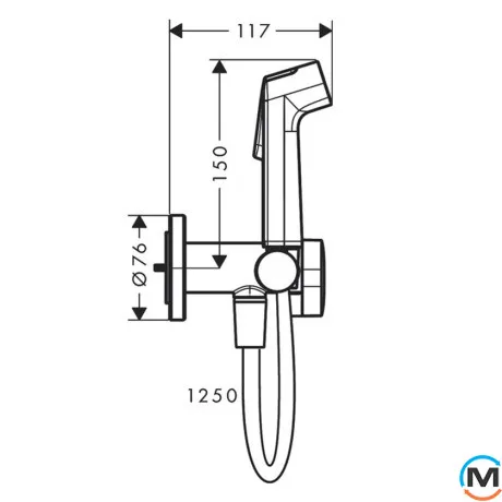 Гигиенический душ Hansgrohe SE EcoSmart+ на смешанную воду MattWhite, фото , изображение 2