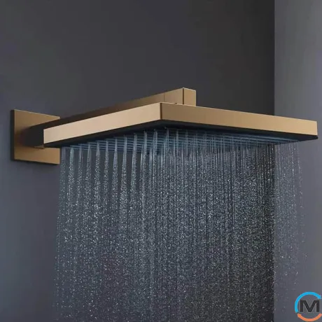 Верхний душ Hansgrohe Pulsify E 260 1jet EcoSmart Brushed Bronze, фото , изображение 2