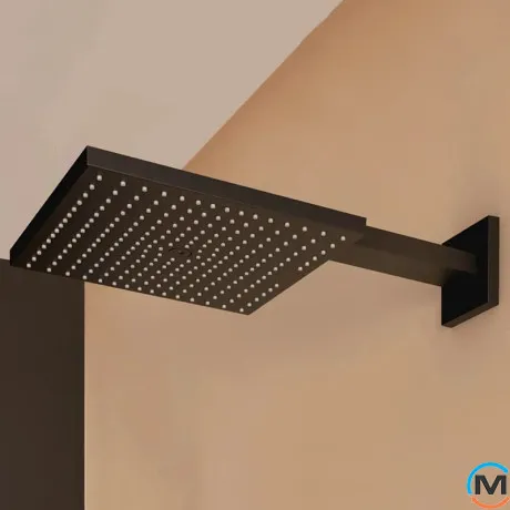 Верхний душ Hansgrohe Raindance E Overhead shower 300 1jet matt black, фото , изображение 4