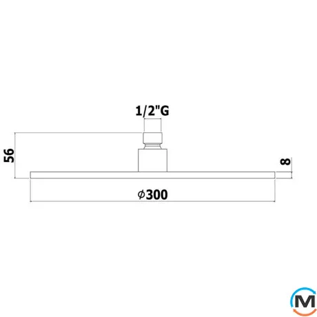 Верхний душ Paffoni Master KING 300 мм хром, фото , изображение 2