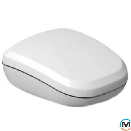 Радиодатчик контроля протечки воды Neptun RSW+, фото 