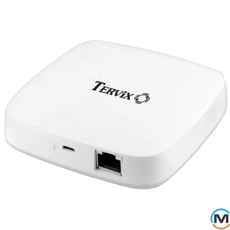 Ведучий Ethernet контролер Tervix ZigBee Wired Gateway, фото 