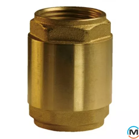 Зворотний клапан Afriso 2", фото 