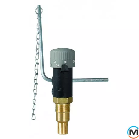 Термостатичні регулятори тяги Afriso FR1 G 3/4" 30-90°C, фото 