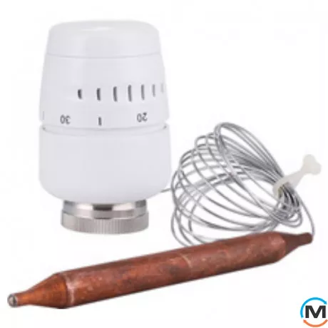 Термоголовка із занурювальним датчиком JL М30х1,5, фото 