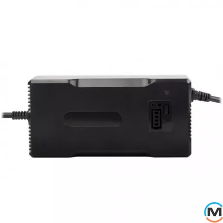 Зарядное устройство для аккумуляторов LogicPower LiFePO4 48V (58.4V)-4A-192W, фото 
