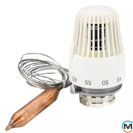 Термоголовка с выносным датчиком  М30х1,5, 30-70С Tervix Pro Line TR 2, фото 