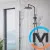 Душевая система Hansgrohe Vernis Blend Showerpipe 200 1jet Reno черный матовый, фото , изображение 2