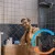 Душевой набор Hansgrohe Activera Select S 2jet EcoSmart Porter 1.25 см Chrome, фото , изображение 3