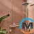 Душевой набор Hansgrohe Pulsify S 100 1jet EcoSmart 65 см Matt White, фото , изображение 6
