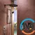 Верхний душ Hansgrohe Raindance Alive S 300 2jet EcoSmart с держателем Chrome, фото , изображение 4
