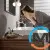 Смеситель для умывальника Hansgrohe Vivenis 110 с донным клапаном pop-up черный матовый, фото , изображение 2